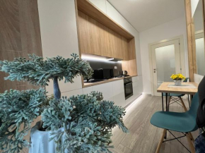 Perfect Host Palas Studio Central